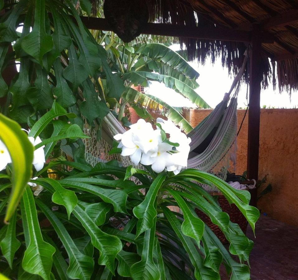 Casa Do Jardim Acomodação com café da manhã Canoa Quebrada Exterior foto