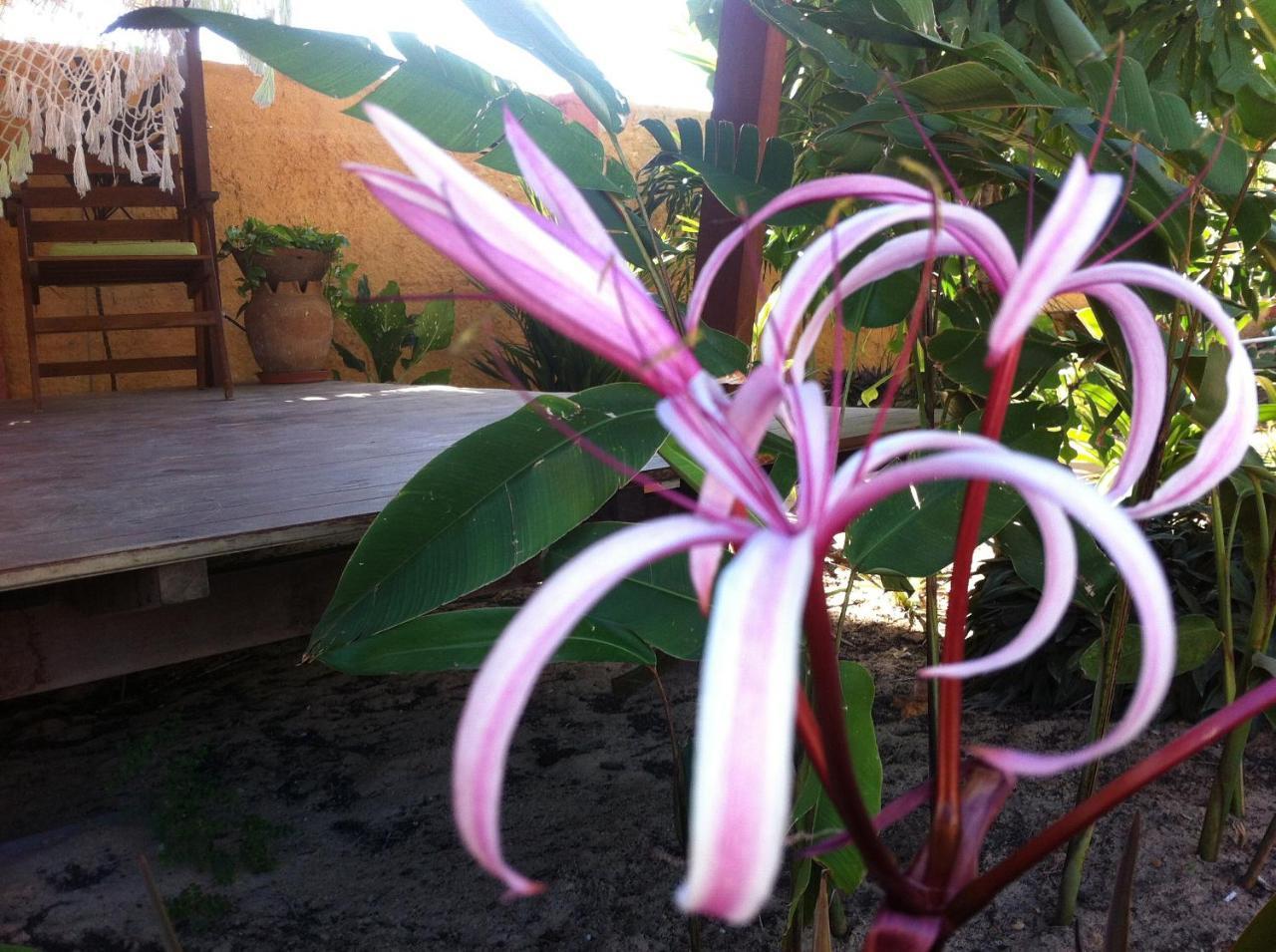 Casa Do Jardim Acomodação com café da manhã Canoa Quebrada Exterior foto